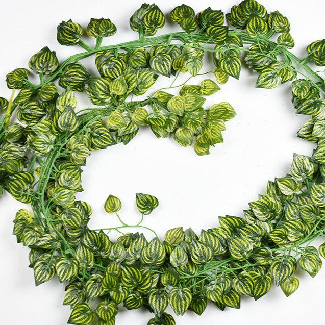 IVY VINE (6pc)
