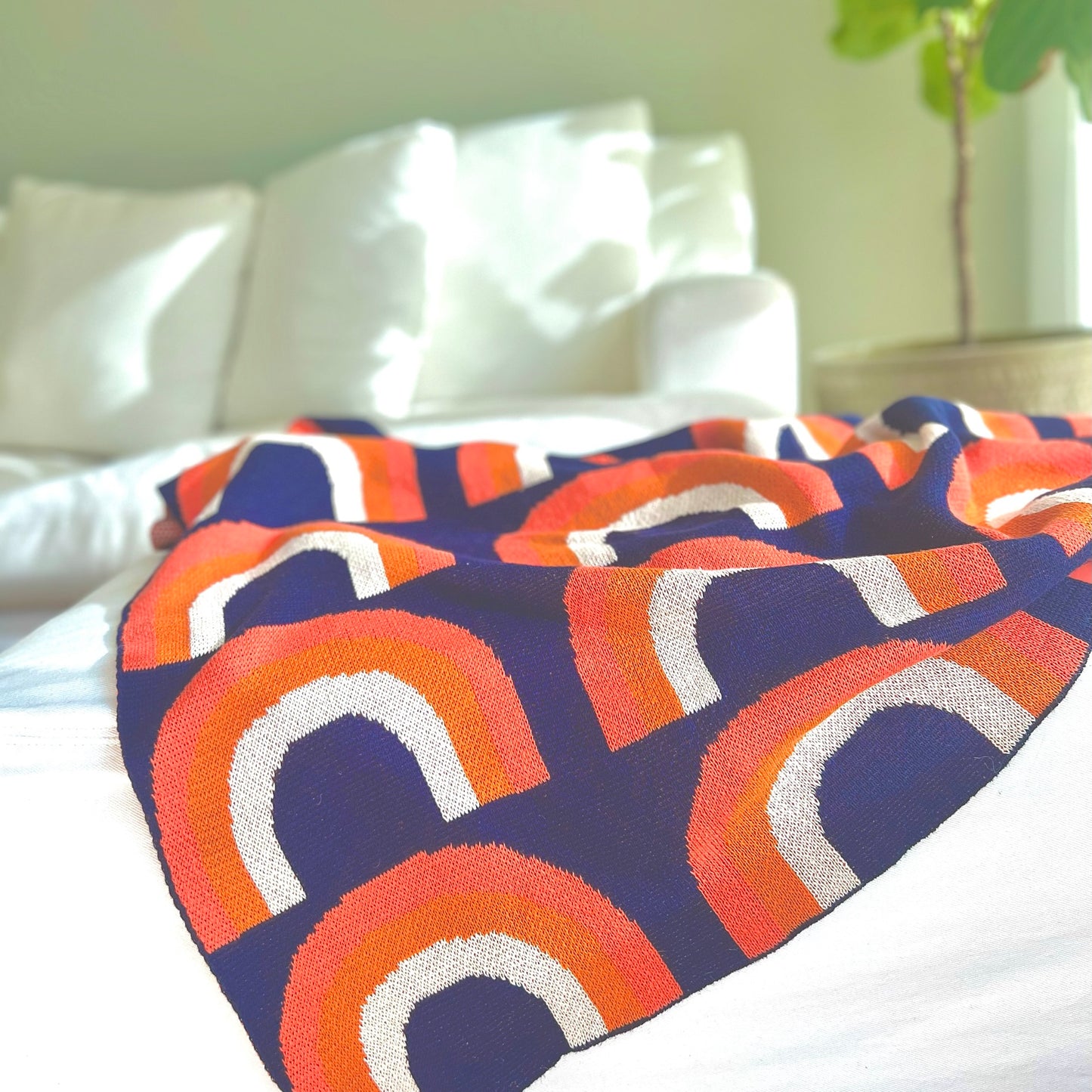 RAINBOW THROW
