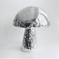 DISCO MUSHROOM