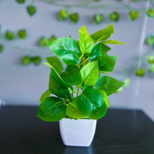 SMALL PLANT + POT