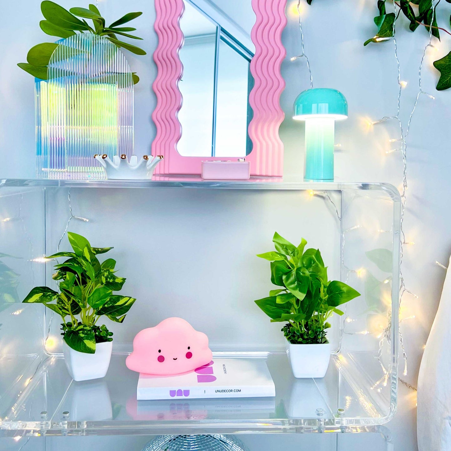 SMALL PLANT + POT