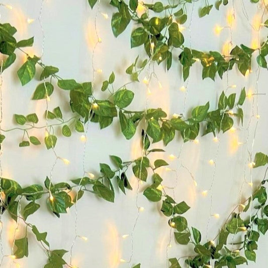 LIGHT CURTAIN