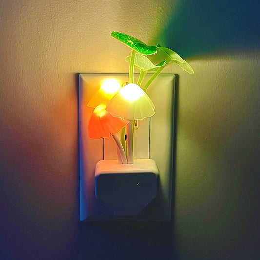 LED MUSHROOM PLUG 2