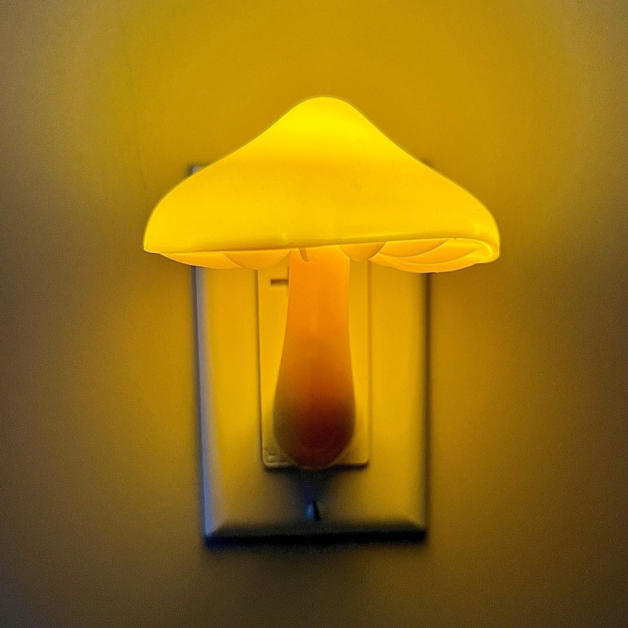 LED MUSHROOM PLUG