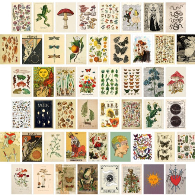 50 WALL CLUTTER CARDS - AESTHETIC