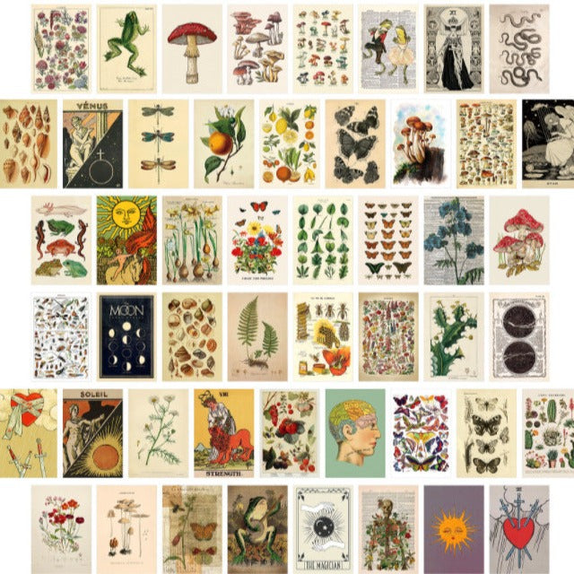 50 WALL CLUTTER CARDS - RETRO REVIVAL