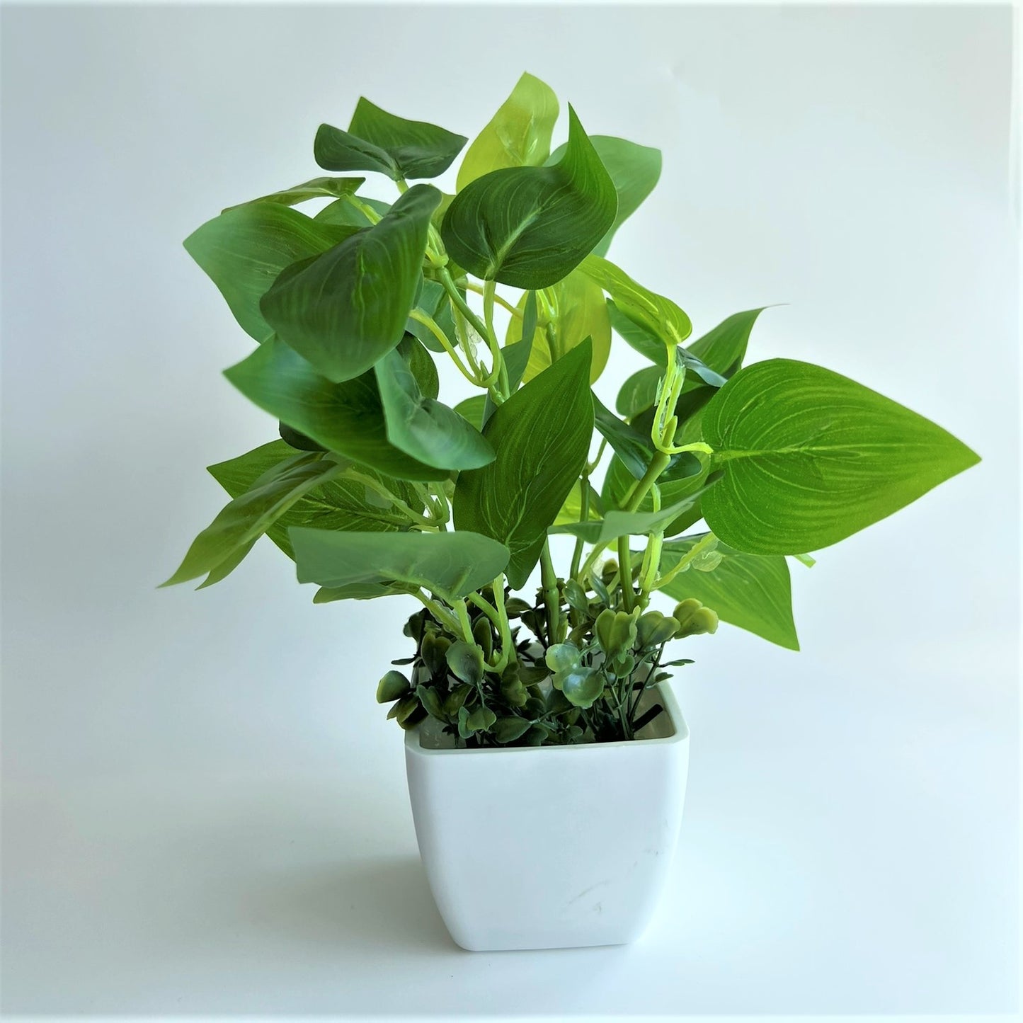 SMALL PLANT + POT